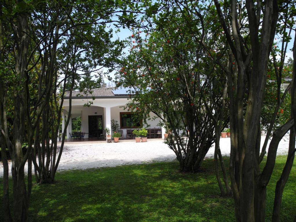 B&B Villa Miani Silea Exterior photo